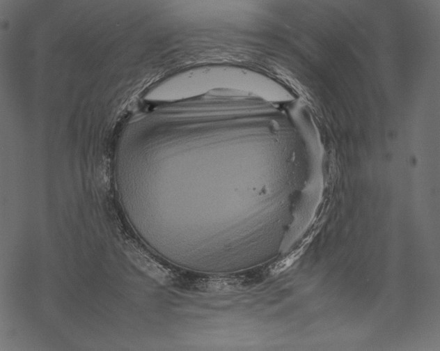 X0000067890305200605041559