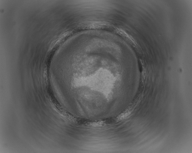 X0000067890306200605041559