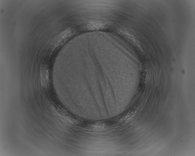 X0000067890308200605041559