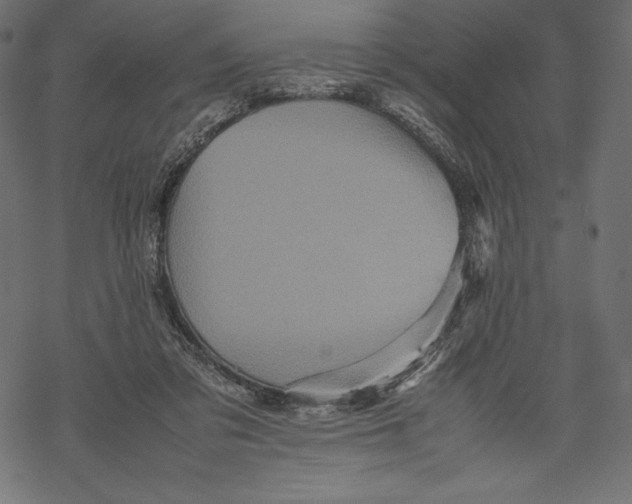 X0000067890309200605041559