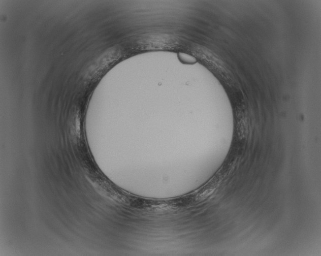 X0000067890310200605041559