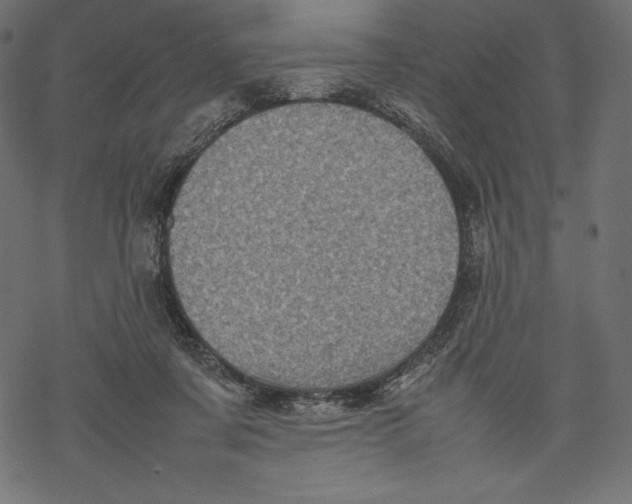 X0000067890311200605041559