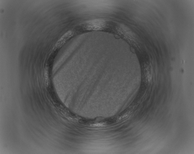 X0000067890312200605041559