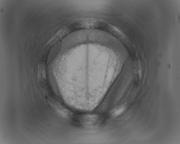 X0000067890313200605041559