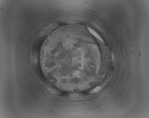 X0000067890315200605041559