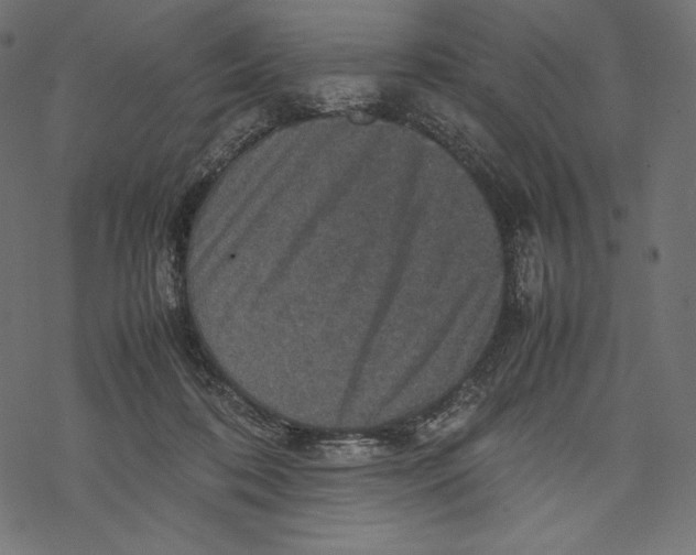 X0000067890316200605041559