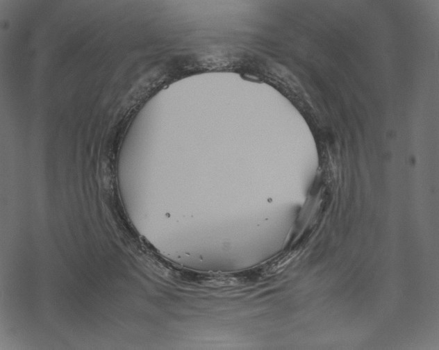 X0000067890317200605041559