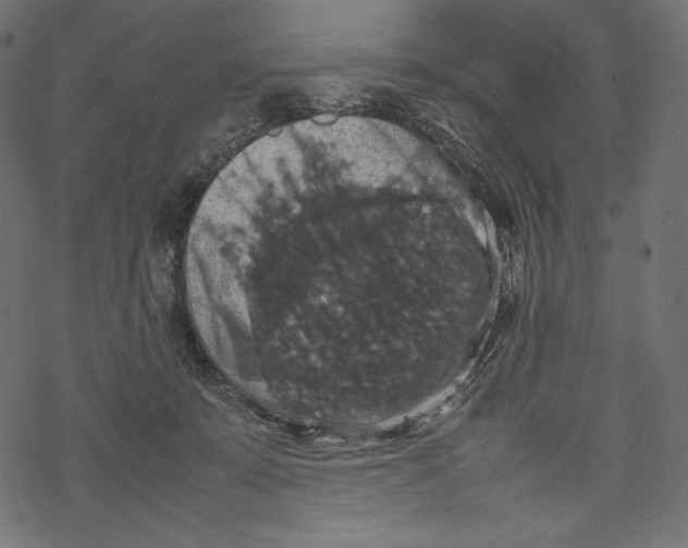 X0000067890319200605041559