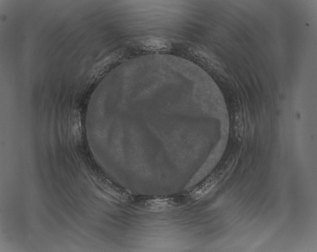 X0000067890320200605041559