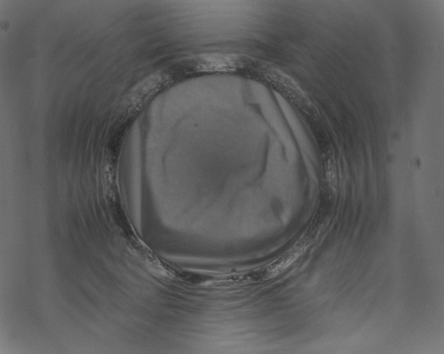 X0000067890322200605041559