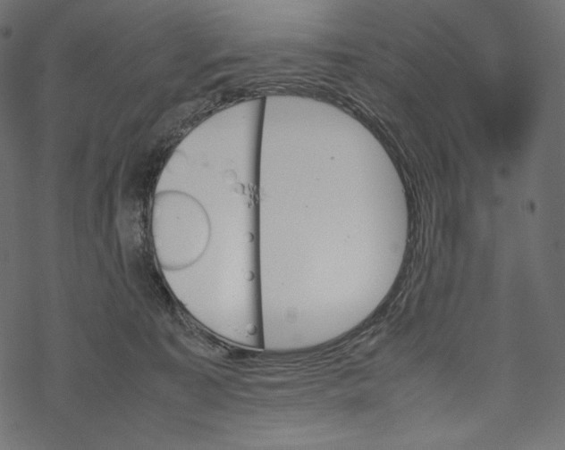 X0000067890323200605041559