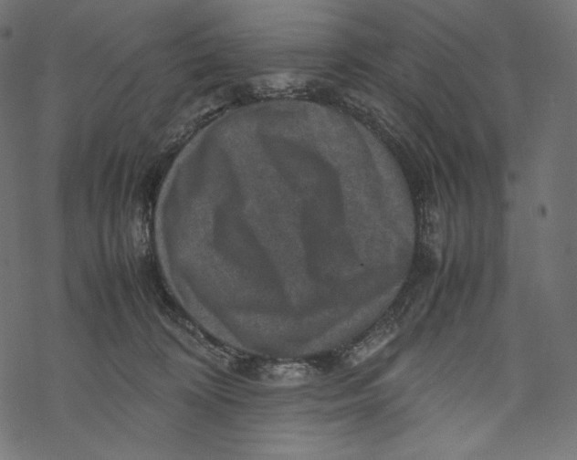 X0000067890324200605041559