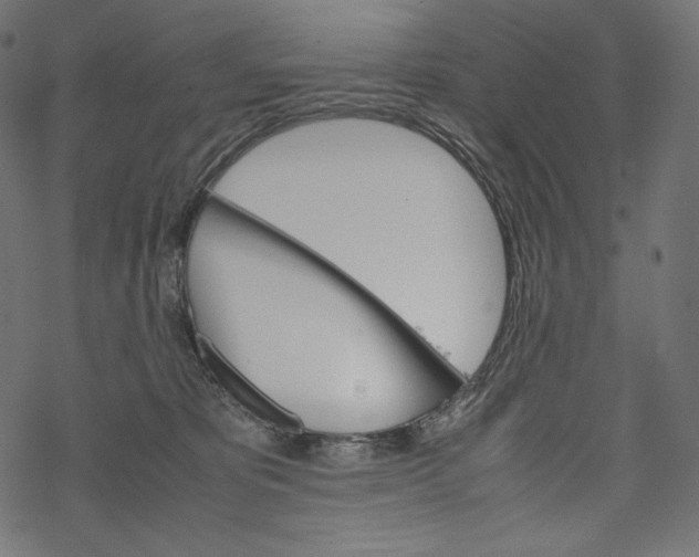 X0000067890325200605041559