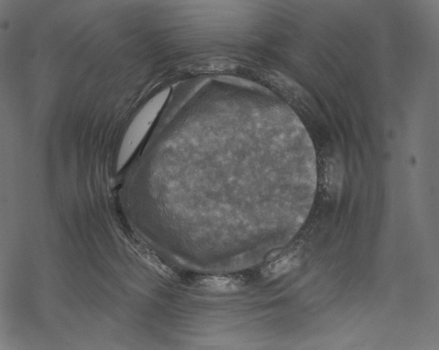 X0000067890326200605041559