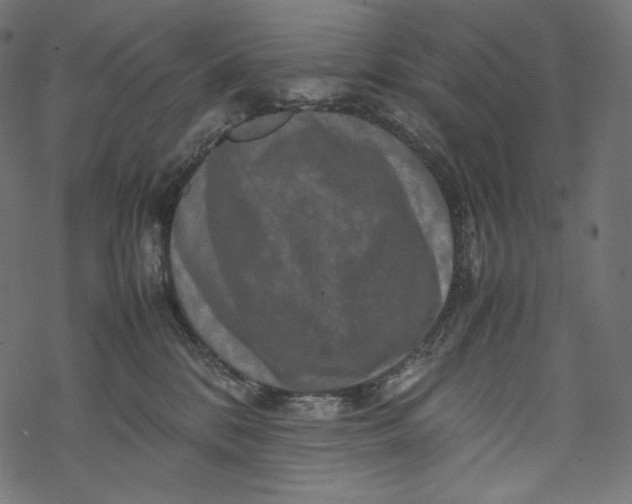 X0000067890328200605041559