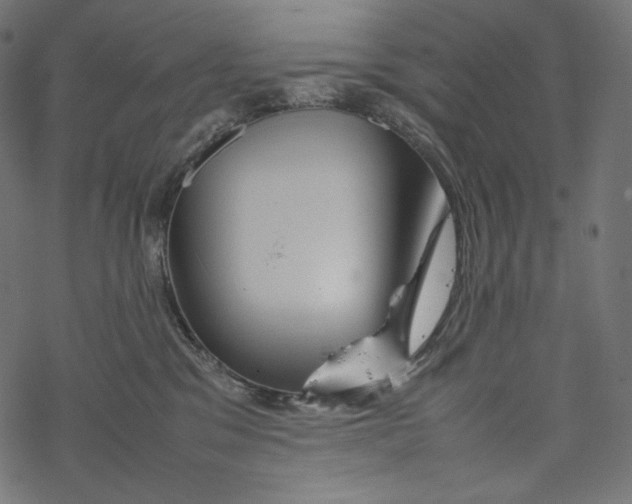 X0000067890329200605041559