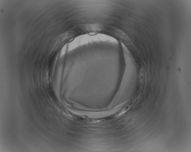 X0000067890330200605041559