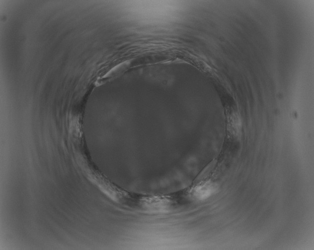 X0000067890331200605041559