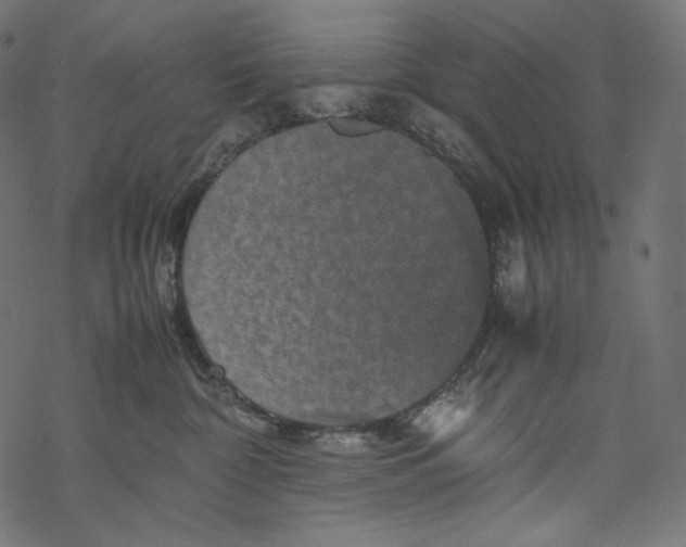 X0000067890332200605041559