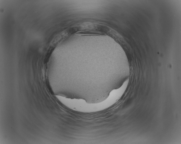 X0000067890333200605041559