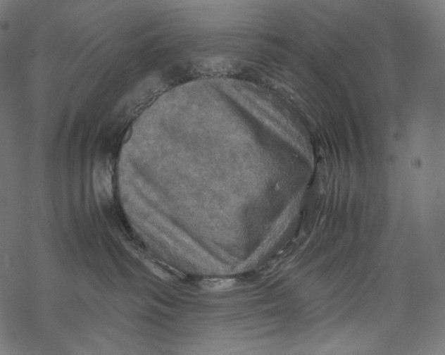 X0000067890334200605041559