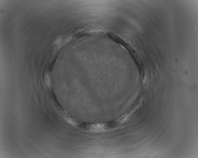 X0000067890335200605041558