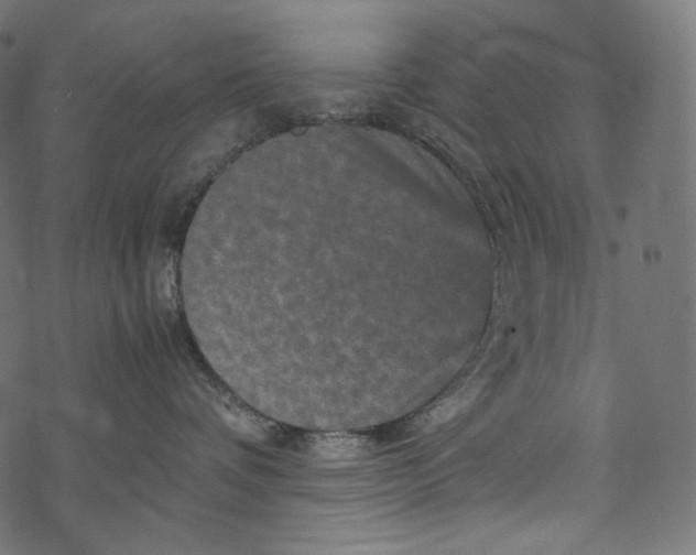 X0000067890336200605041558