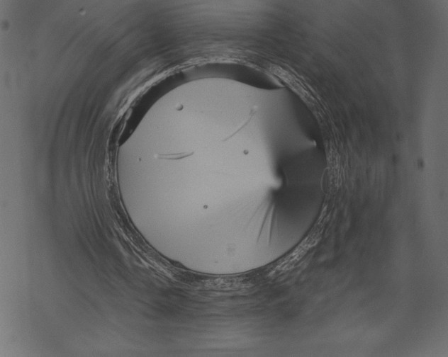 X0000067890338200605041558