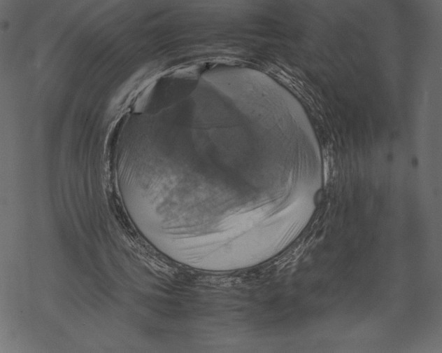 X0000067890339200605041558