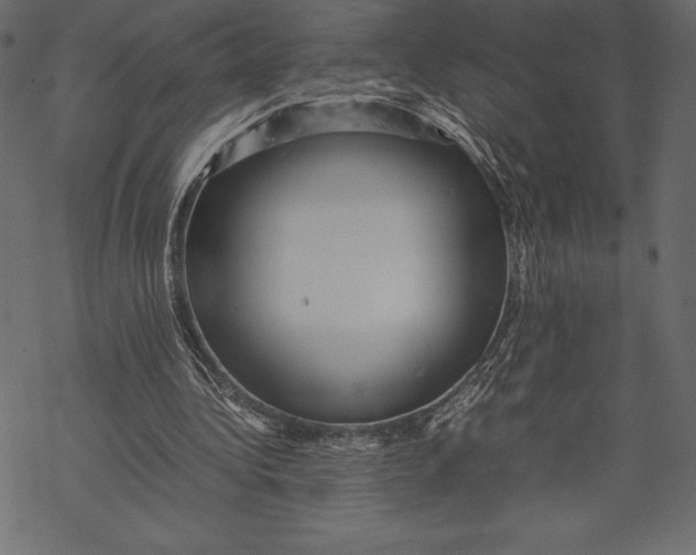 X0000067890340200605041558