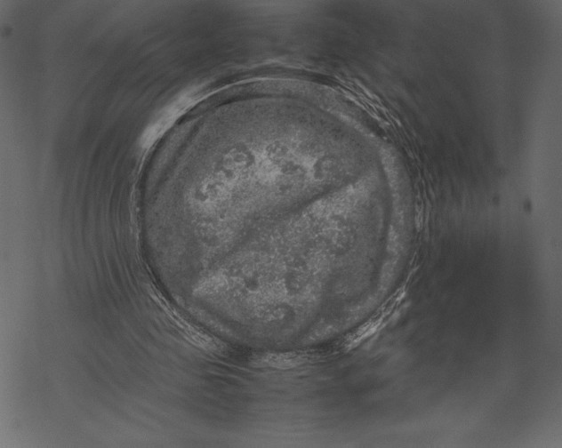 X0000067890341200605041558