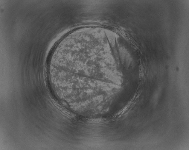 X0000067890342200605041558