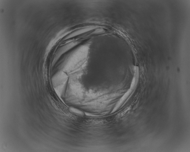 X0000067890343200605041558