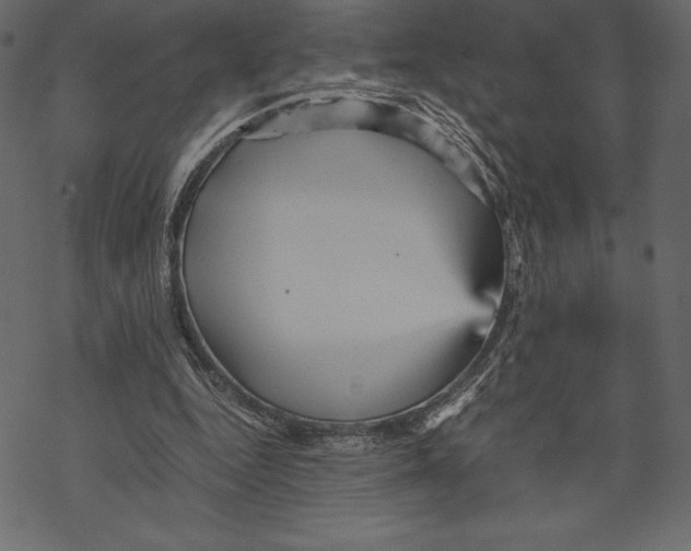 X0000067890344200605041558