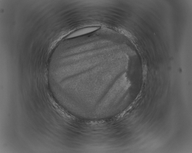 X0000067890345200605041558