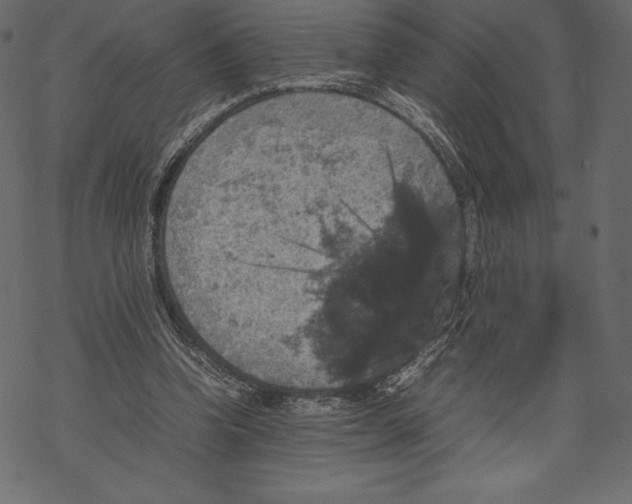 X0000067890346200605041558