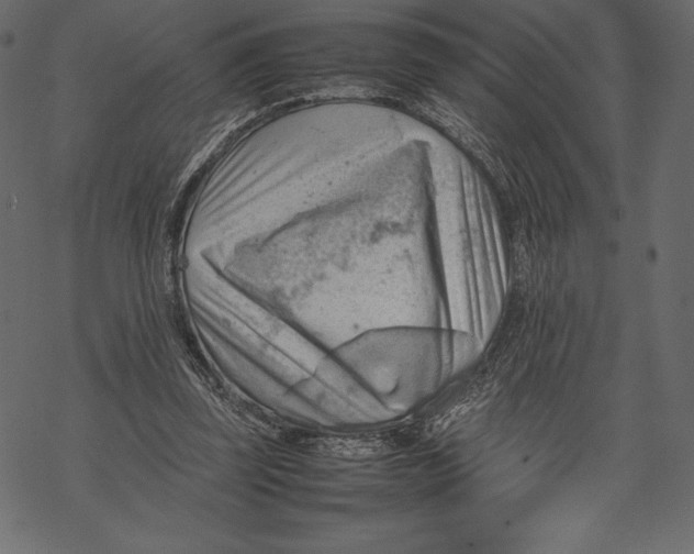 X0000067890347200605041558