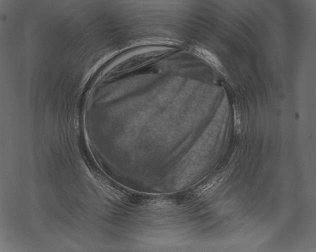 X0000067890348200605041558