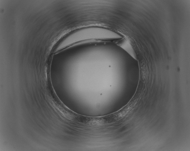 X0000067890350200605041558