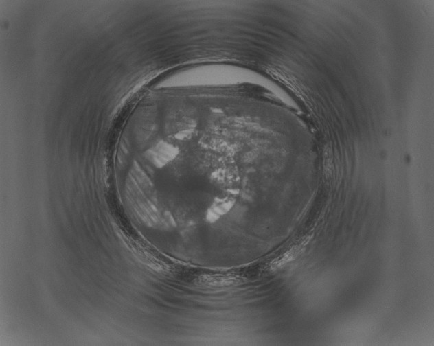 X0000067890351200605041558