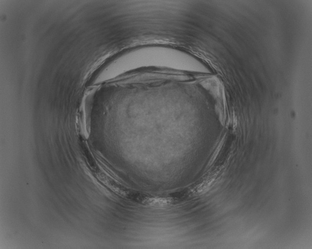 X0000067890352200605041558