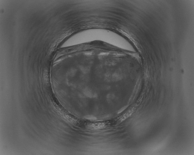 X0000067890353200605041558