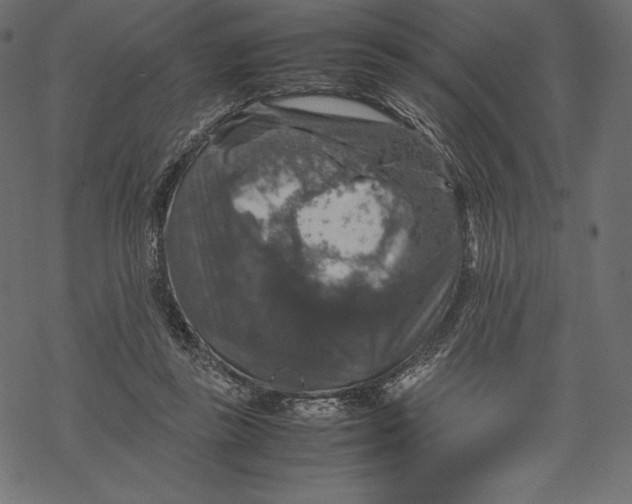 X0000067890355200605041558