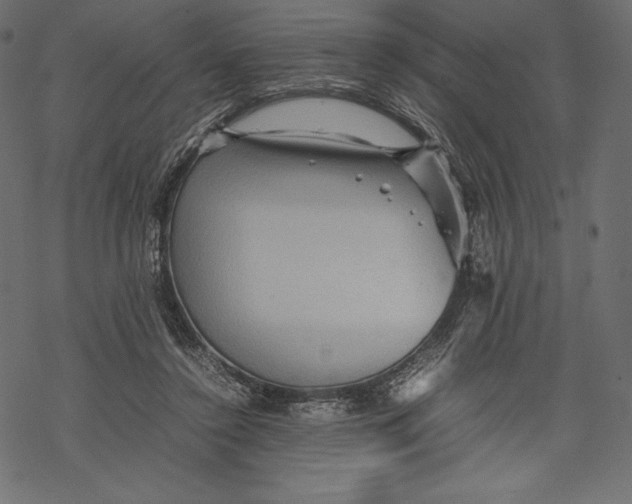 X0000067890356200605041558