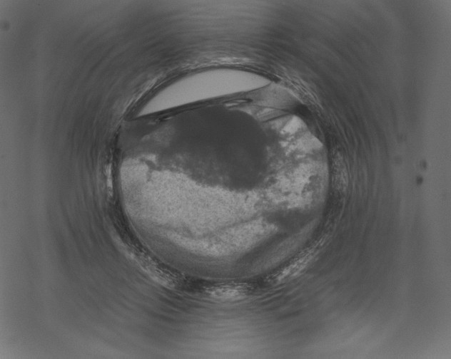 X0000067890358200605041558