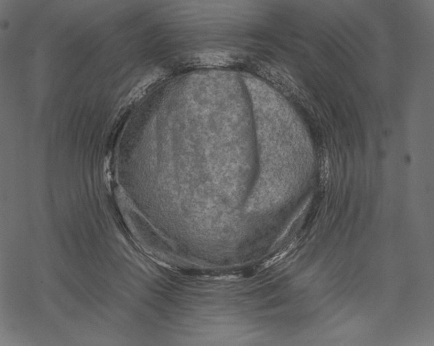 X0000067890360200605041558