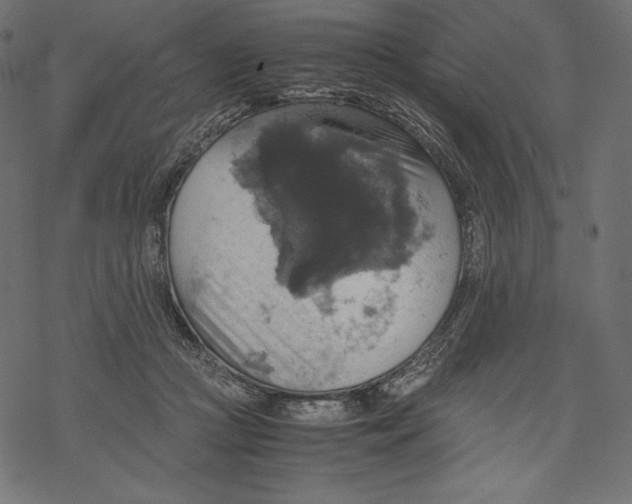 X0000067890361200605041558