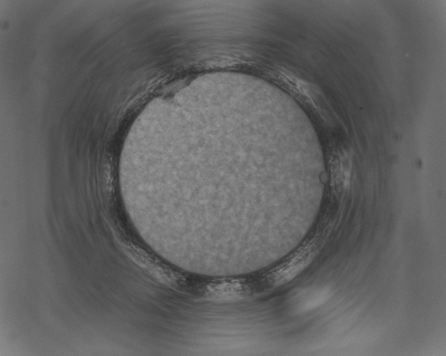 X0000067890362200605041558