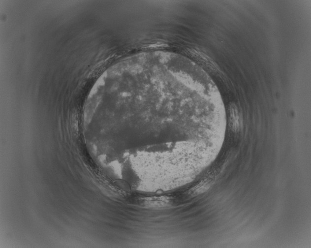 X0000067890363200605041558