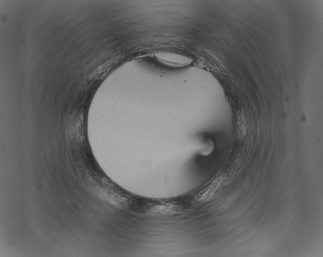 X0000067890364200605041558